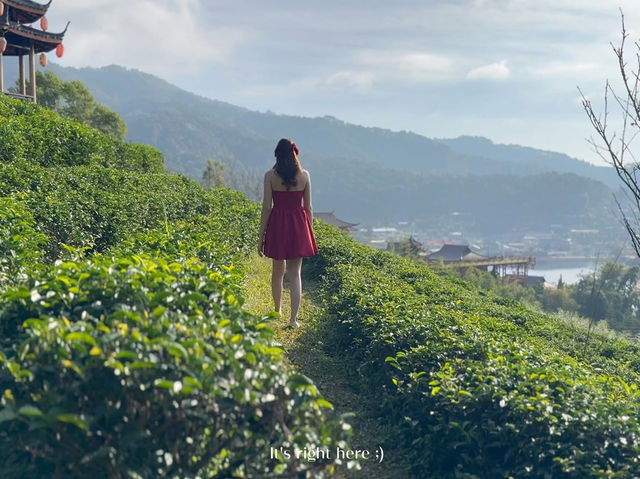 🌿☕ ชมวิวหมู่บ้านจีนยูนาน ที่ Leewinerukthai