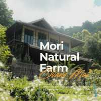Mori Natural Farm เชียงใหม่ 🌿🏡