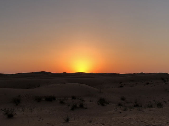 🐫 두바이 사막에서 만나는 황금빛 노을 & 아라비안 어드벤처 🌅
