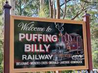🚂 Puffing Billy Railway 行程时间指南