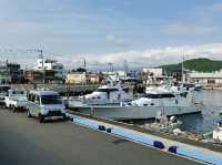 Numazu Port: Catching the Fish Market After Hours! 🐟☀️