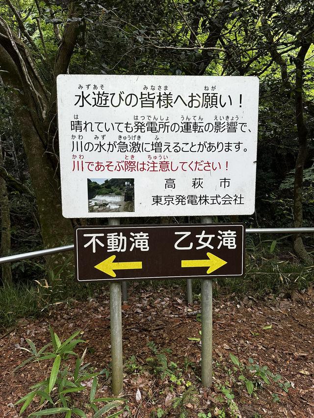 【花貫渓谷】