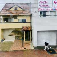 日本散策：古都奈良，與神的使者相遇
