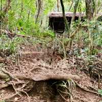 蘭嶼輕鬆健行的登山步道～大天池