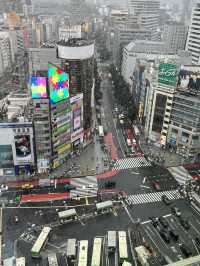 🌆 Tokyo in 3 Iconic Stops: Skyline, Loyalty & Organized Chaos 🐶✨