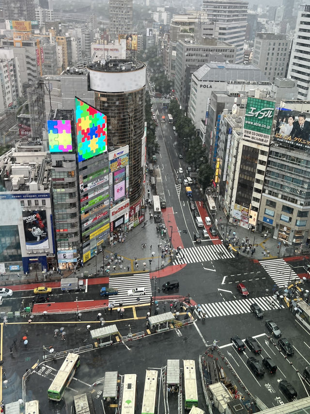 🌆 Tokyo in 3 Iconic Stops: Skyline, Loyalty & Organized Chaos 🐶✨