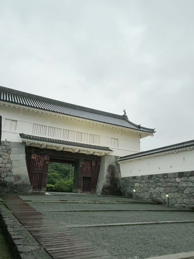 神秘又寧靜的百大名城｜小田原城夜晚也能逛！