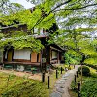京都 | 青蓮院門跡，東山區優美的賞楓秘境