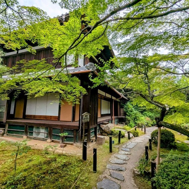 京都 | 青蓮院門跡，東山區優美的賞楓秘境