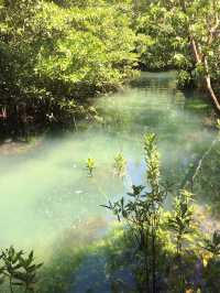 🌿 ท่าปอม คลองสองน้ำ | ธรรมชาติใสไหลกลางป่า