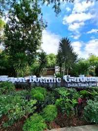 Discovering the Botanic Gardens Singapore