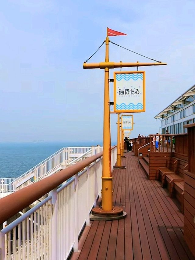 Driving Through the Sea: Tokyo Wan Aqua-Line & Umihotaru