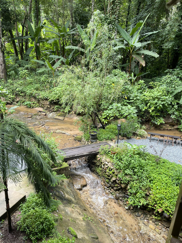 Proud คาเฟ่น่ารัก ณ แม่กำปอง ⛰️🌳🍃🌿☕️ Proud คาเฟ่น่ารัก ณ แม่กำปอง ⛰️🌳🍃🌿☕️