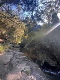 Lane Cove National Park – Sydney