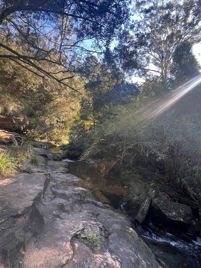 Lane Cove National Park – Sydney