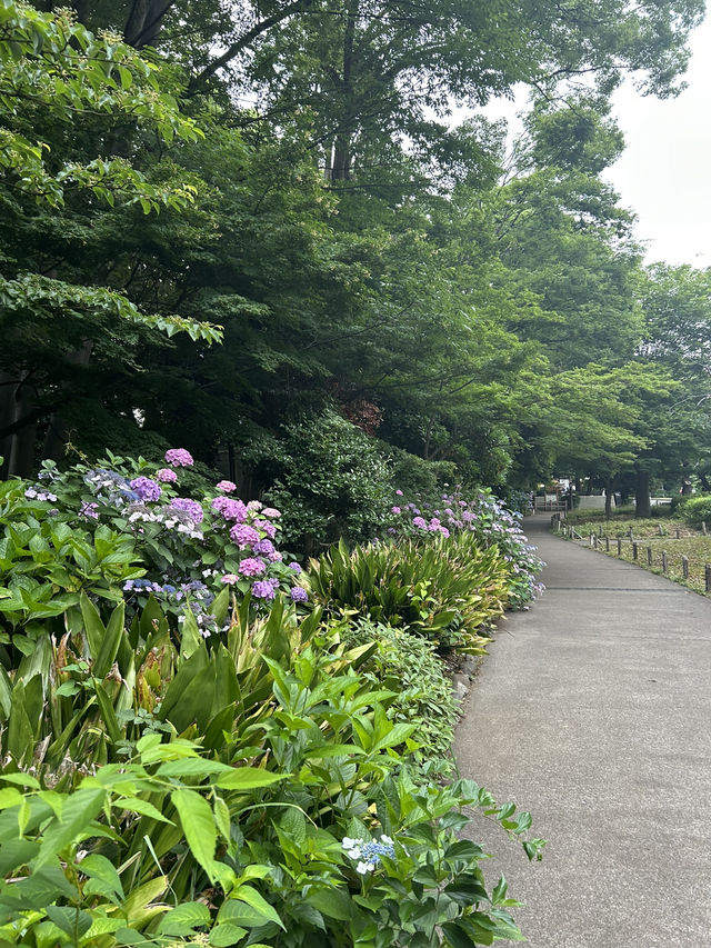 สวนอุเอโนะ (Ueno Park)