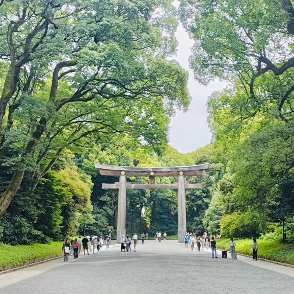 Meiji Jingu: A Tranquil Path to Tokyo’s Sacred Heart