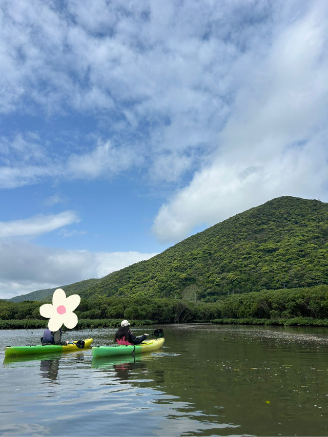 🌴【奄美大島】世界遺産のマングローブでカヌー🛶