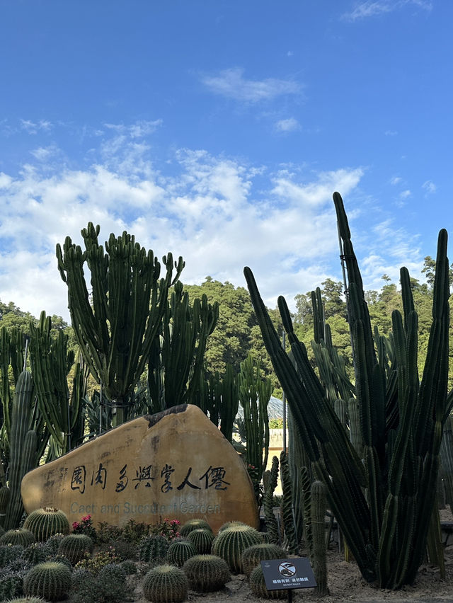 深圳l 沒想到這個仙湖植物園🌳那麼大