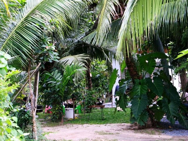 PAMA CAFE คาเฟ่บ้านสวน