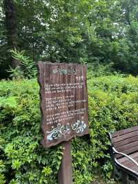 시가 있는 명상 정원