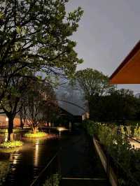 SUAN COFFEE
