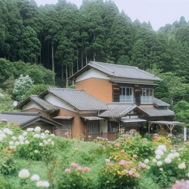 Hattori Farm Hydrangea Mansion