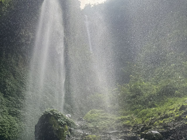 Bromo Kawah ijen Madakaripura Tumpaksewu Trip 