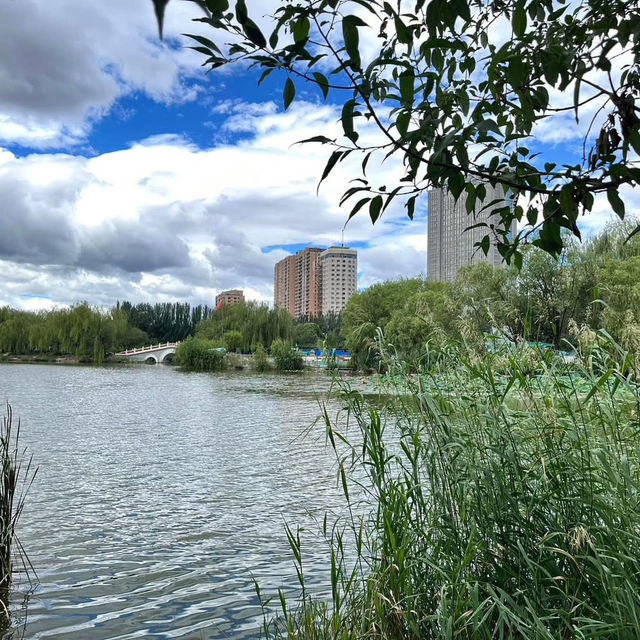  🌿 Exploring Hohhot’s Green Heart — Qingcheng Park (青城公园) 🌿