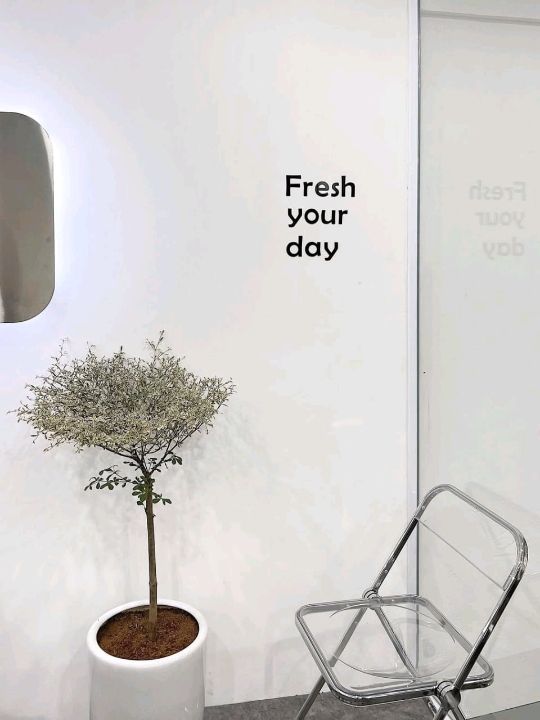 Rosier Fresh Tea & Coffee 