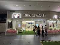 🐾 Kids X Cats Cafe — Fluffy Friends & Playful Vibes