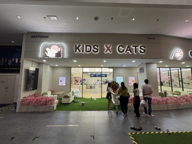 🐾 Kids X Cats Cafe — Fluffy Friends & Playful Vibes