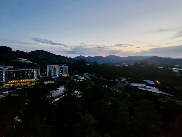 Cameron Highland