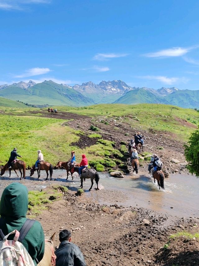 A Memorable Return Journey from Fairy Lake Horseback Riding Trip