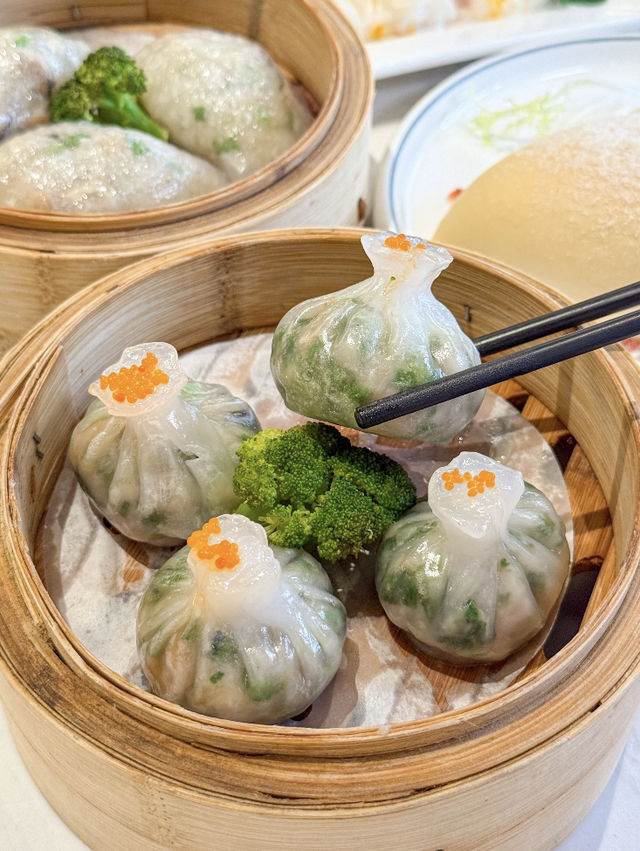 深圳點心到x大排檔