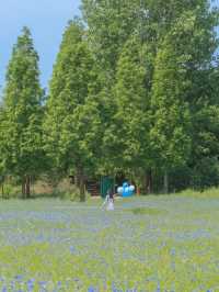 (실시간) 파란 물결 시작된 아그로랜드🌿💙