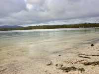 Peaceful Pause at Murdunna & Dunalley: A Small-Town Scenic Stop After Port Arthur