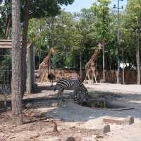 NIGHT SAFARI จ.เชียงใหม่