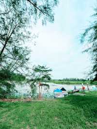 Thrilling Encounters at Crocodile Lake