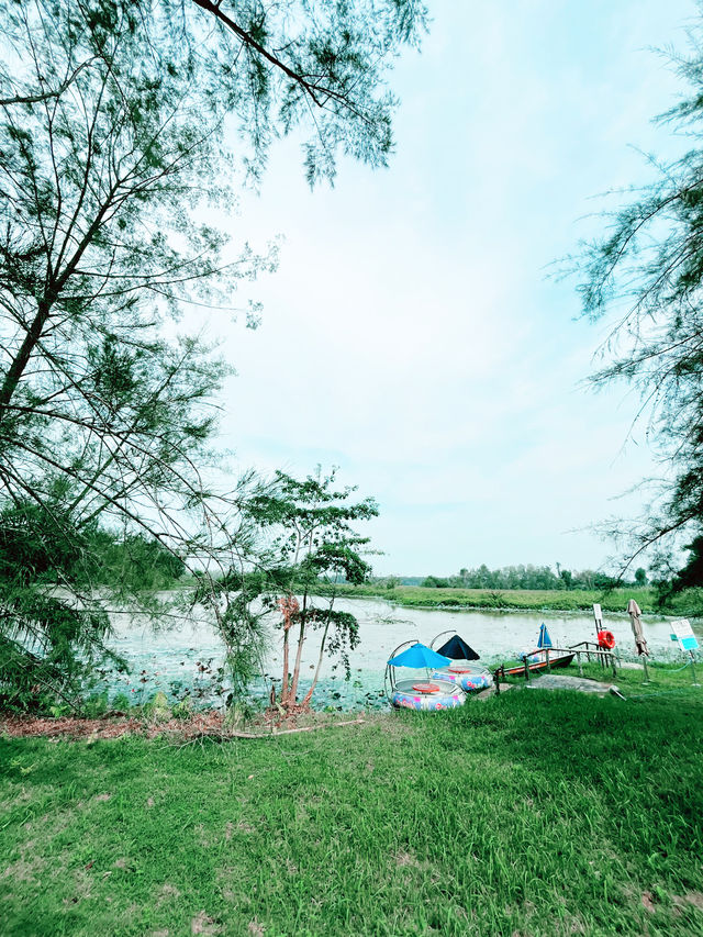 Thrilling Encounters at Crocodile Lake
