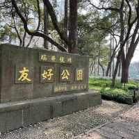 🌅 West Lake (西湖): A Grand Stage of Nature and Culture