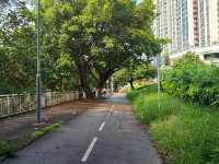 環境優美嘅城門河，無敵日落景色