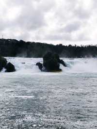 🌊Unleashed at Rhine Falls