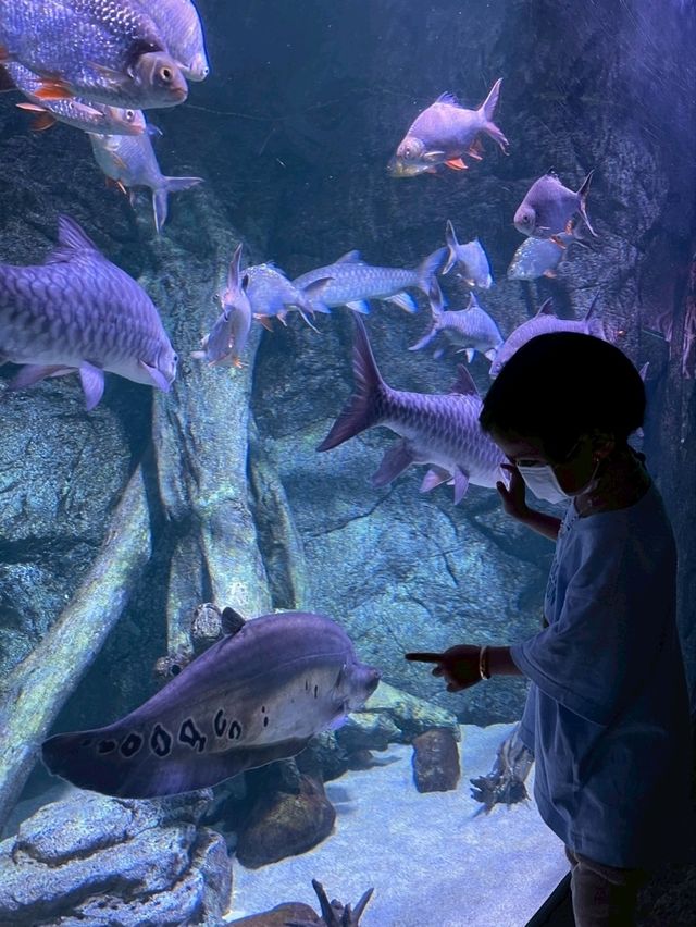Sea Life Bangkok Ocean World จ.กรุงเทพฯ