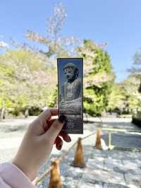 วัด Kotokuin แลนด์มาร์คสำคัญของเมือง Kamakura 🇯🇵