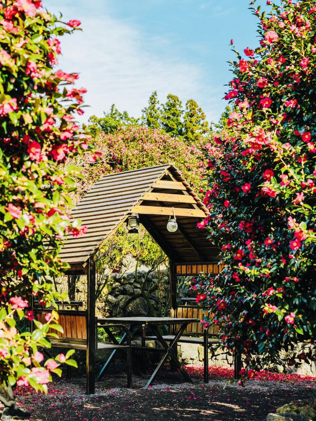More Than Just Flowers: A Charming Cafe Experience