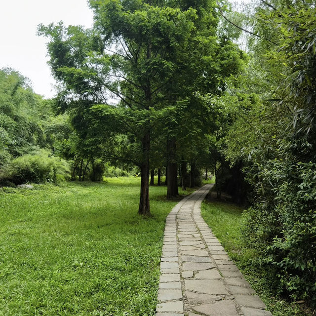 【貴陽花溪濕地公園】終極遊玩攻略 | 城市裡的天然氧吧 🌿💦