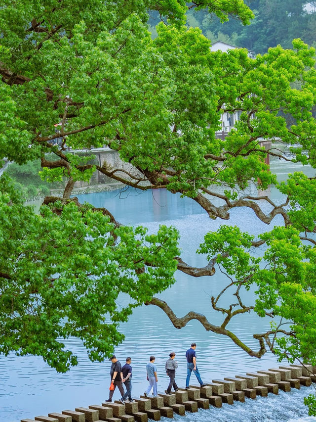 🎋 Wenzhou’s Hidden Ancient Bridge – Free Entry & Endless Lucky Koi!