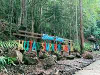 A Hidden Green Escape – Hutan Simpan Renggam Awaits