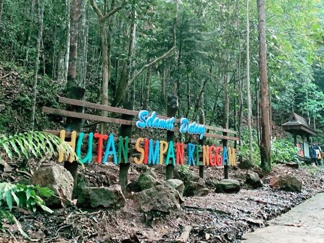 A Hidden Green Escape – Hutan Simpan Renggam Awaits